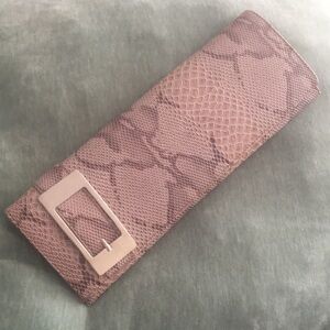 Big Buddha Santa Barbara Snake Print Python Clutch